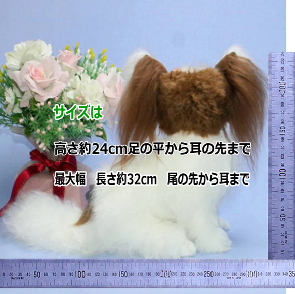 犬の日 2023 世界で一体のパピヨン・天使のようなシルキーコート・ふんわりと広がる立ち耳 製品は ふんわりと広がる立ち耳 補足 しないでください