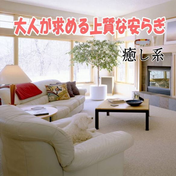 犬の日 2023 世界で一体のパピヨン・天使のようなシルキーコート・ふんわりと広がる立ち耳 製品は ふんわりと広がる立ち耳 補足 しないでください