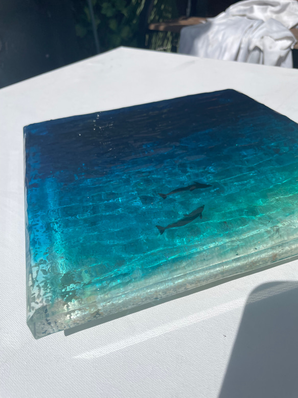 ドルフィンラグーン　アートディスプレイトレイアクセサリートレイ  25×25仕器 水面 波紋 8枚目の画像