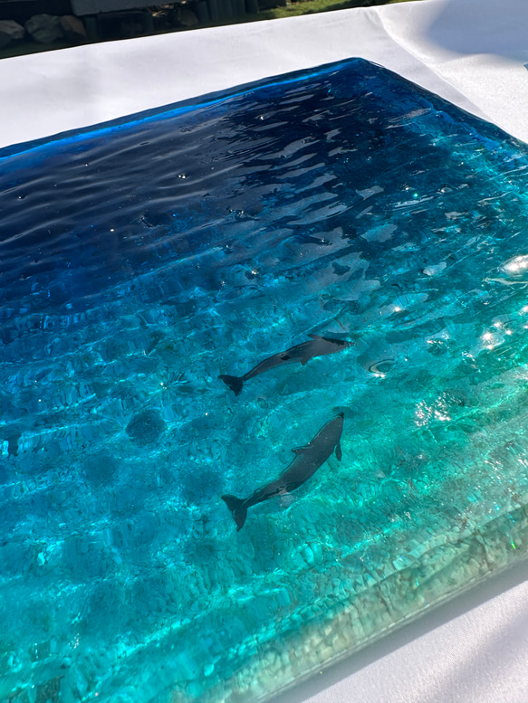 ドルフィンラグーン　アートディスプレイトレイアクセサリートレイ  25×25仕器 水面 波紋 3枚目の画像