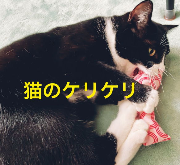 猫のケリケリ　Ｌ　またたび粉（別付）水玉　赤x白 3枚目の画像