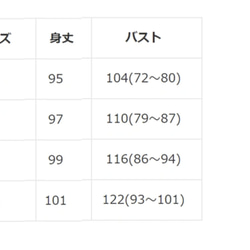 FOX 狐とアコーディオン、レディースチュニック 2枚目の画像