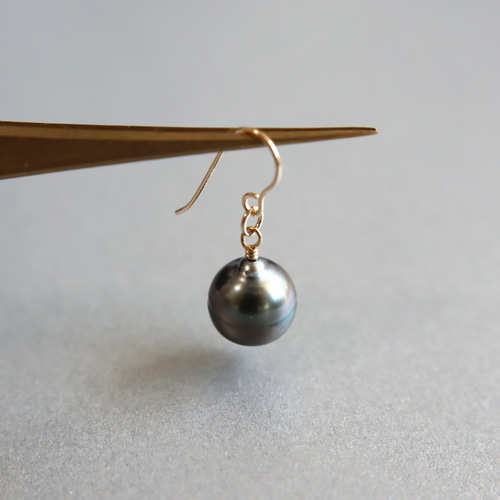 半額SALE・残1】希少小粒 タヒチアンパール（黒蝶真珠）AAA サークル  