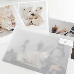 <シロクマ> 動物刺繍のポストカードセット <3枚組> 1枚目の画像