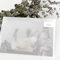 <シロクマ> 動物刺繍のポストカードセット <3枚組> 2枚目の画像