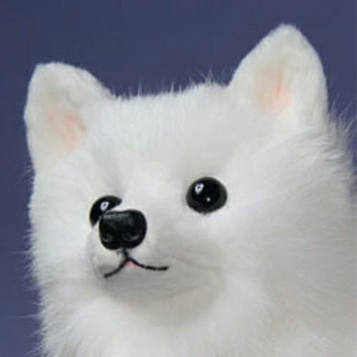 小池ユニバース 羊毛フェルト　サモエド　スピッツ ジャパニーズスピッツ・愛犬ギフトにも リアルフアーのぬぃぐめみ 羊毛