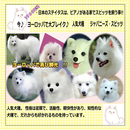 ジャパニーズスピッツ・愛犬ギフトにも リアルフアーのぬぃぐめみ 羊毛