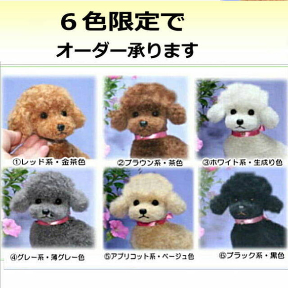 オーダーメイド ■特典付き品・リアルファーのぬいぐるみ トイプードル・ペットは家族・愛犬ギフト【再販・受注制作】 16枚目の画像