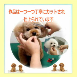 オーダーメイド ■特典付き品・リアルファーのぬいぐるみ トイプードル・ペットは家族・愛犬ギフト【再販・受注制作】 10枚目の画像