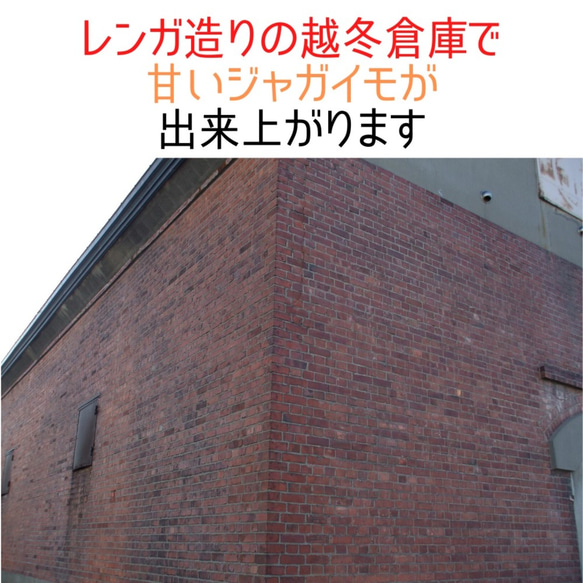 防災に　レトルト野菜　もうゆでちゃった じゃがいも 200g×4パック / 北海道 無添加 サステナブル 非常食 野菜 7枚目の画像