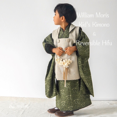 kap0448-mod3.jpg