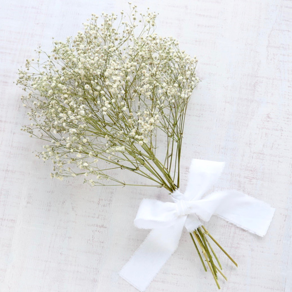 かすみ草さま　白のみ生地終了 かすみ草さま 白のみ生地終了 かすみ草さま 白のみ生地終了