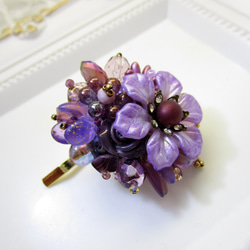 紫苑 / ポニーフック 4枚目の画像
