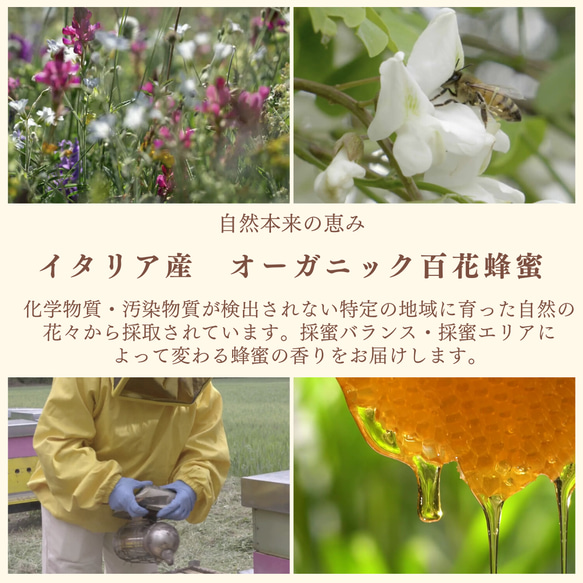 隠れ家シェフ手作り百花蜂蜜テリーヌ イタリア産オーガニック蜂蜜 　 2枚目の画像