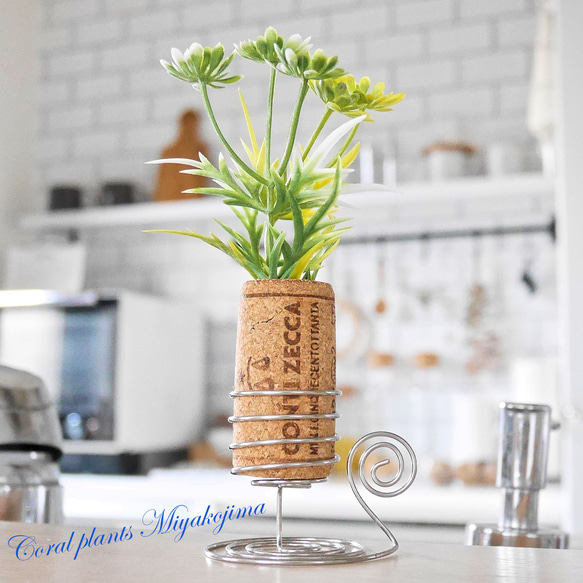 コルク＆ステンレスワイヤー&ガラス瓶 エアープランツホルダー
