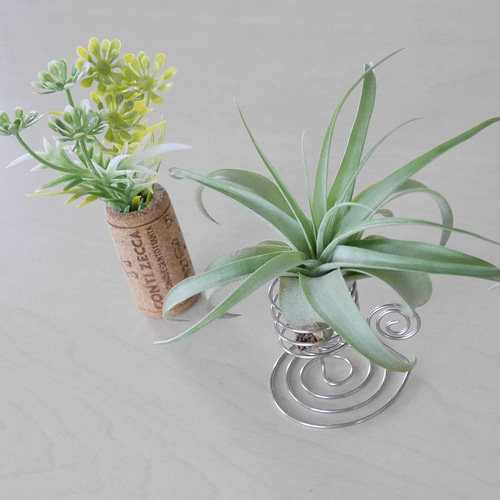 コルク＆ステンレスワイヤー&ガラス瓶 エアープランツホルダー