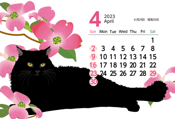 2023年猫ともカレンダー黒猫だけ（プラスチックケース付き） 4枚目の画像