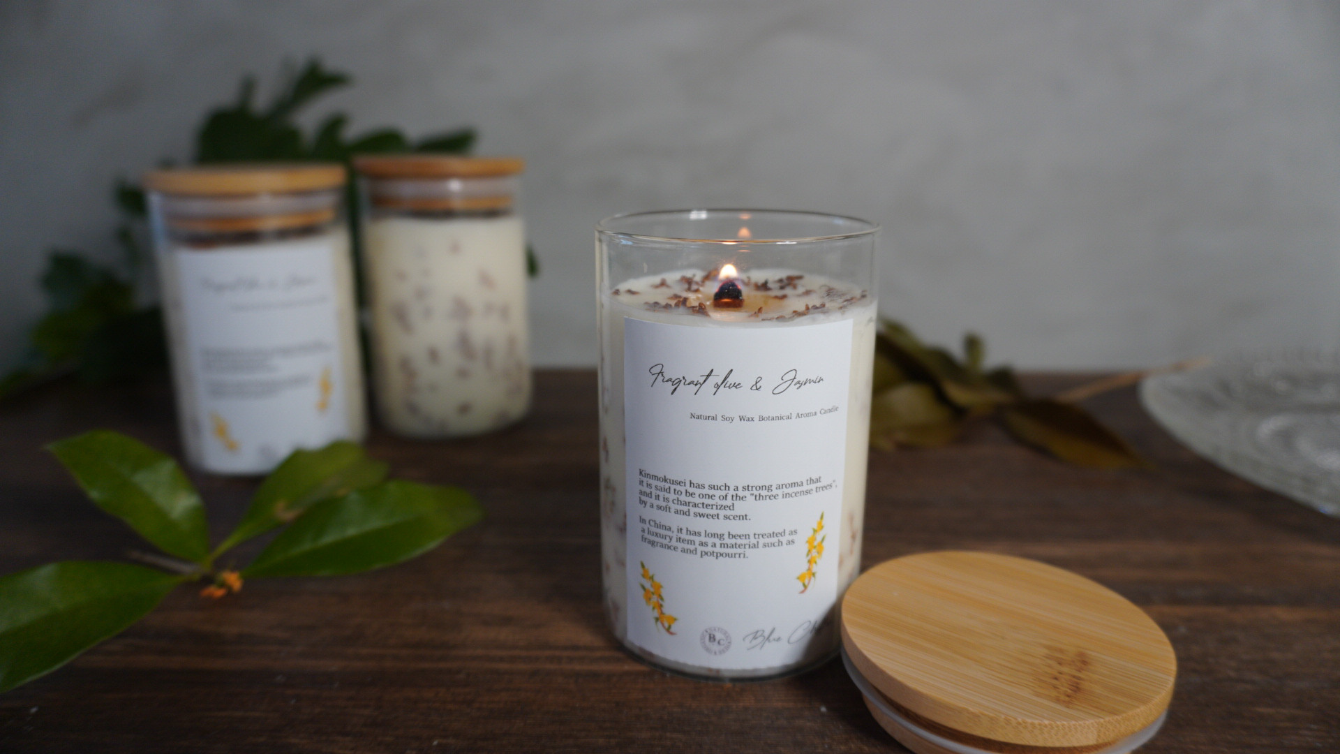 VOLA　LMach MOLY　リキッド　紫　100ml　toko ガリウム ボラ モリブデン入りノンフッ素リキッドワックス VOLA L MACH