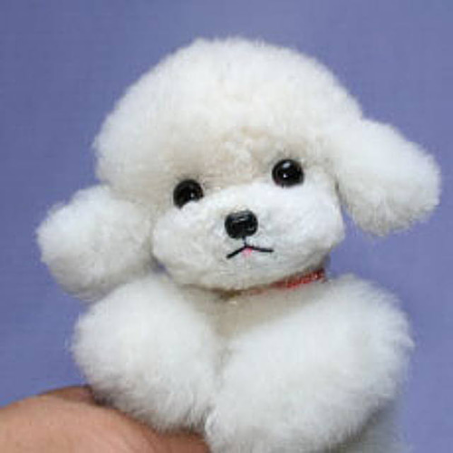 犬の日 2023 めっちゃ可愛いティーカッププードル ぬいぐるみ