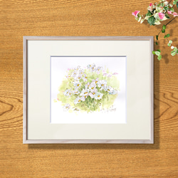 コスモス（秋桜） 絵画 のおすすめ人気通販｜Creema(クリーマ) 国内