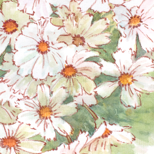 白いコスモス-2】額縁付き スケッチ原画 一点物 特典付き 絵画