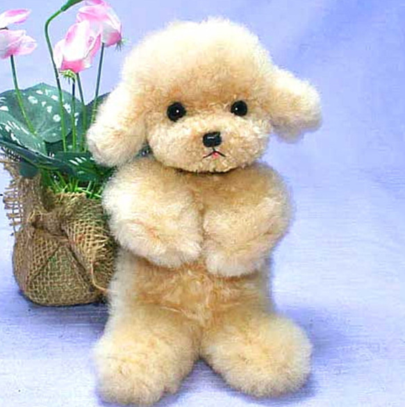 ティーカッププードル ぬいぐるみ 愛犬ギフト品にも【再販・受注