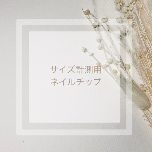 サイズ計測用ネイルチップ ネイルチップ（つけ爪） c.a 通販