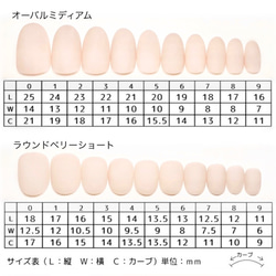 サイズ計測用ネイルチップ 2枚目の画像