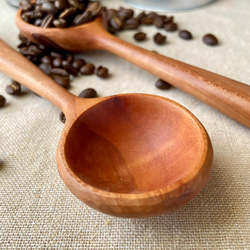 木斛(モッコク)の木で作ったコーヒーメジャー 1枚目の画像