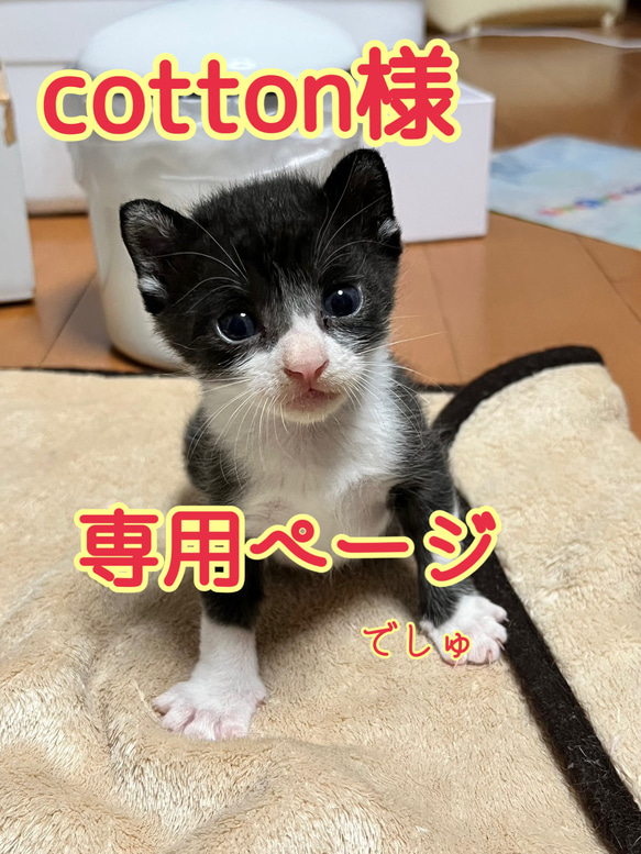 cotton様専用ページ 1枚目の画像