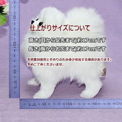 ポメラニアン 新色ゴールドブラウン ぬいぐるみ フエルト製品ではない　愛犬ギフト品にも【再販・受注制作 16枚目の画像