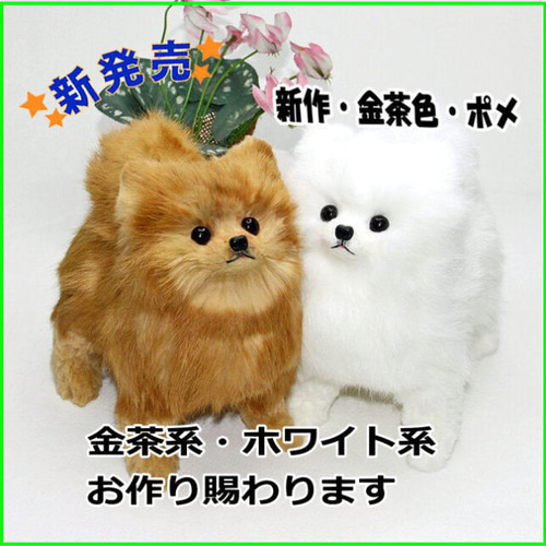 ポメラニアン 新色ゴールドブラウン ぬいぐるみ フエルト製品
