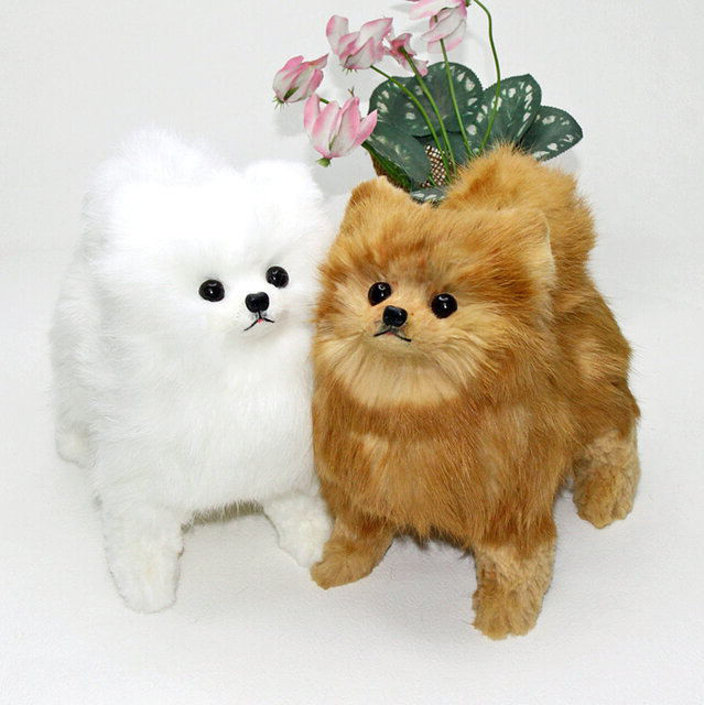 犬の日 2023 のポメラニアン・新色　ぬいぐるみ　羊毛フエルト製品ではない　愛犬ギフト品にも【再販・受 18,411円