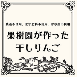 【期間限定】農薬不使用りんご使用　果樹園が作った干しりんご5個セット《送料無料》 3枚目の画像