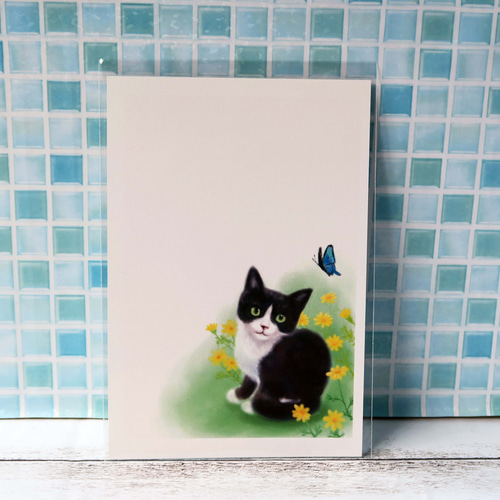 キタムラ　美品　ケース　ハチワレ　ねこ 新品 キタムラ コインケース カードケース 財布 ハチワレ 小銭