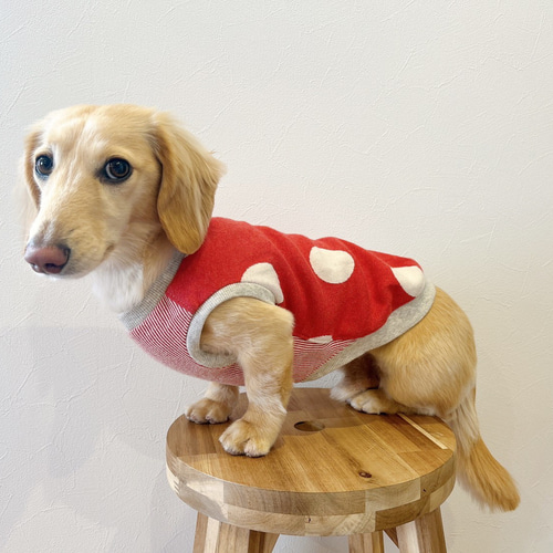 犬服ハンドメイド.クリスマスニット残りわずが sa10000064_2.jpg