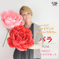 2巻セット】Reborn 海外マステ バラ Rose 背景 PET 背景 テープ