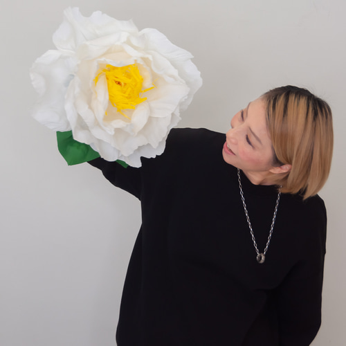 【花椿ページ】 屋外つばき園で開花中の品種をご紹介♪「宇佐椿」「チューリップ