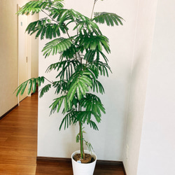 f30a1fd4d7c67a8da3c614d55eefa8