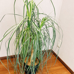 38493d5f9d11c6ed20e60c4cd95b28