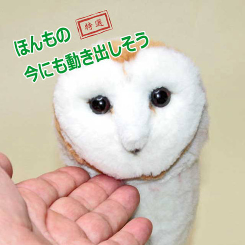 モールアート 羽ばたく メンフクロウ アートドール あいす