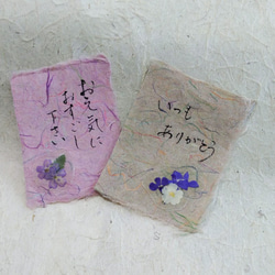 季節のそえぶみ｢秋｣　土佐手漉き和紙メッセージカード　押し花シール付き　グリーティングカード 2枚目の画像
