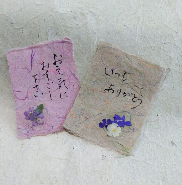 季節のそえぶみ｢冬｣　土佐手漉き和紙メッセージカード　押し花シール付き　グリーティングカード 2枚目の画像