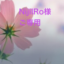 NijiIRo様　ご専用ページ 1枚目の画像