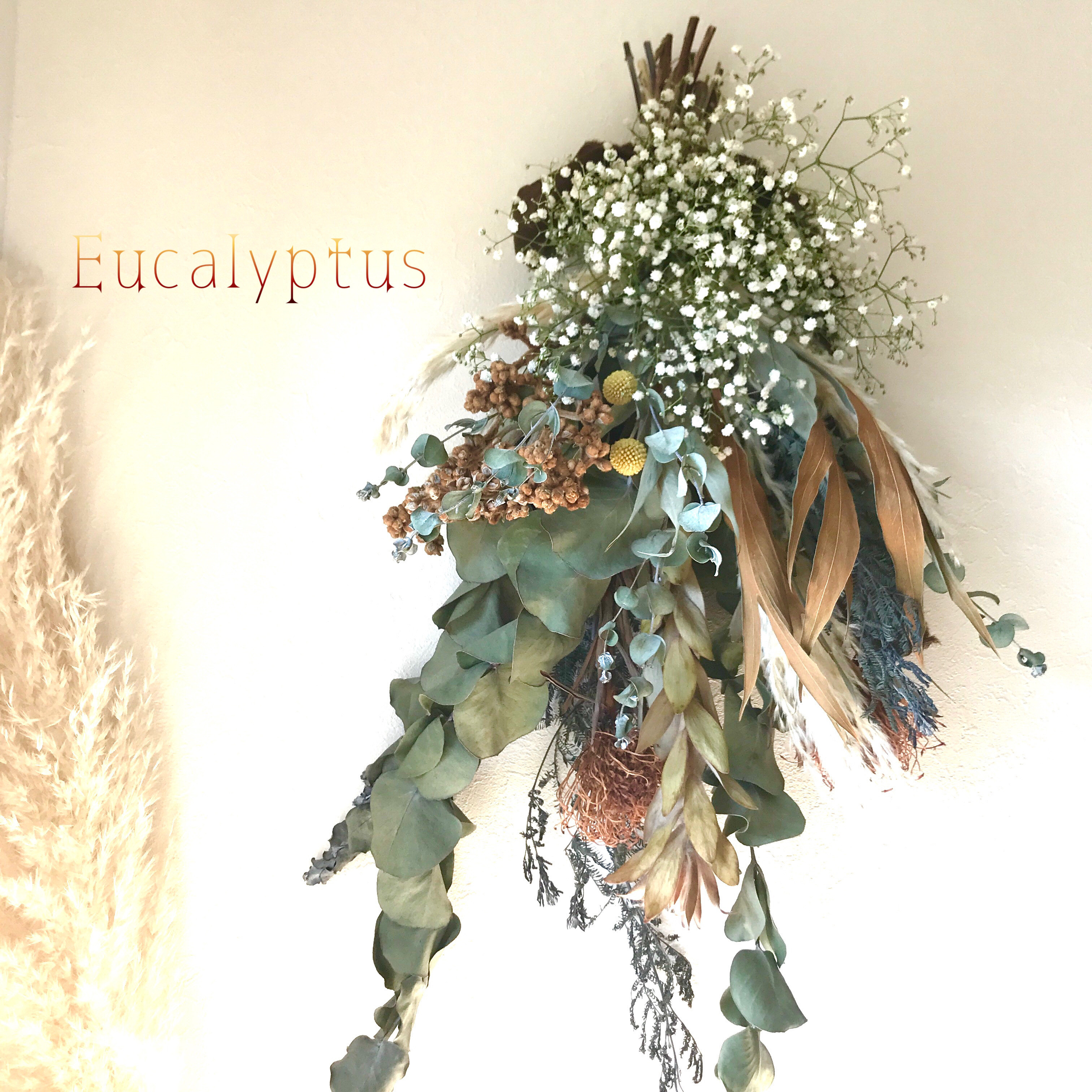 香り立つ無農薬ハーブ　グレビレアゴールド•パンパスグラスの大型スワッグ　ロクアットの実　かすみ草