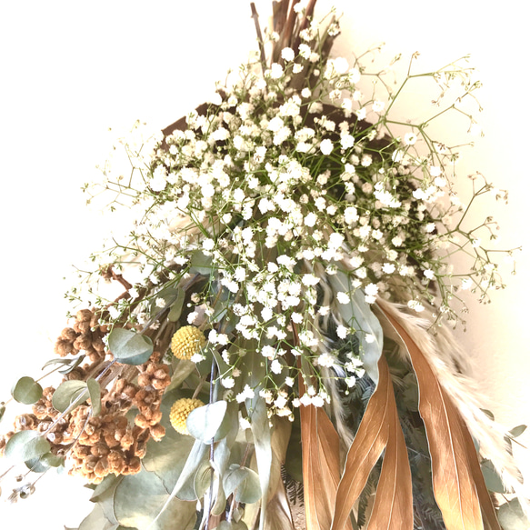 香り立つ無農薬ハーブ　グレビレアゴールド•パンパスグラスの大型スワッグ　ロクアットの実　かすみ草 9枚目の画像