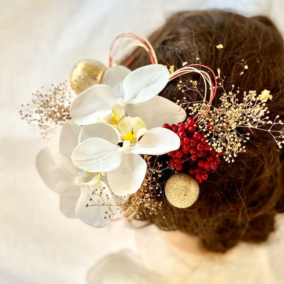 胡蝶蘭の髪飾り　金箔＆水引付き／成人式　結婚式　卒業式　振袖　袴　 1枚目の画像