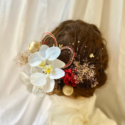 胡蝶蘭の髪飾り　金箔＆水引付き／成人式　結婚式　卒業式　振袖　袴　 2枚目の画像