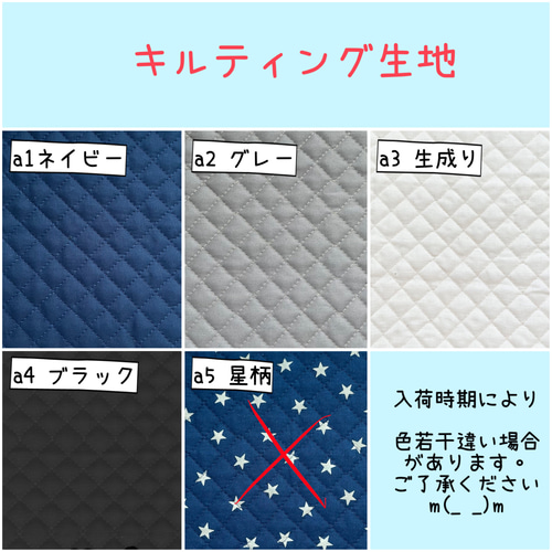 入園 入学 用品☆ レッスンバッグ オーダー 受注注文 受付中 男の子