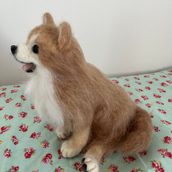 リアル羊毛フェルト犬　メモリアル 2枚目の画像